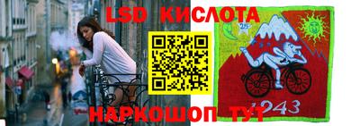 твердый Камышлов